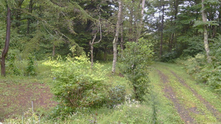 長野県菅平高原 ゆたか山荘 坂上 2026/09/08 09:15