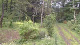 長野県菅平高原 ゆたか山荘 坂上 2026/09/08 09:30