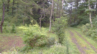 長野県菅平高原 ゆたか山荘 坂上 2026/09/08 09:45