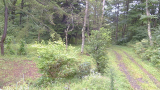 長野県菅平高原 ゆたか山荘 坂上 2026/09/08 10:30