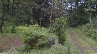 長野県菅平高原 ゆたか山荘 坂上 2026/09/08 10:45