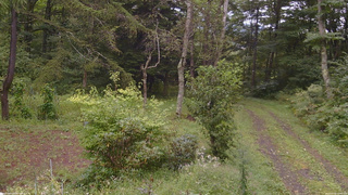 長野県菅平高原 ゆたか山荘 坂上 2026/09/08 11:45