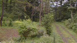長野県菅平高原 ゆたか山荘 坂上 2026/09/08 12:00