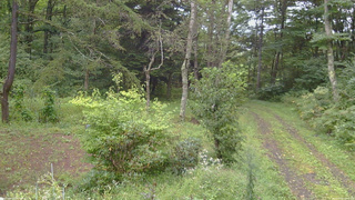 長野県菅平高原 ゆたか山荘 坂上 2026/09/08 13:00