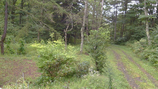 長野県菅平高原 ゆたか山荘 坂上 2026/09/08 13:15