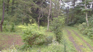 長野県菅平高原 ゆたか山荘 坂上 2026/09/08 13:30