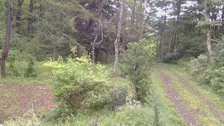 長野県菅平高原 ゆたか山荘 坂上 2026/09/08 14:15