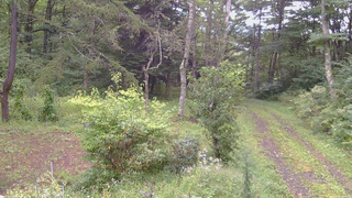 長野県菅平高原 ゆたか山荘 坂上 2026/09/08 14:30