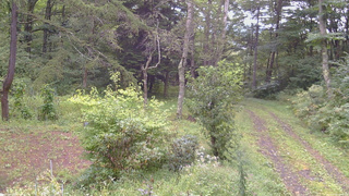 長野県菅平高原 ゆたか山荘 坂上 2026/09/08 14:45