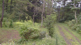 長野県菅平高原 ゆたか山荘 坂上 2026/09/08 15:15