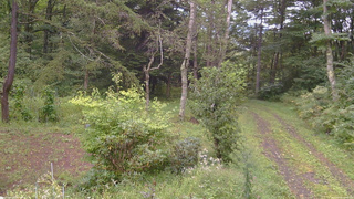 長野県菅平高原 ゆたか山荘 坂上 2026/09/08 15:30