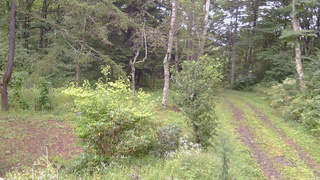 長野県菅平高原 ゆたか山荘 坂上 2026/09/08 15:45
