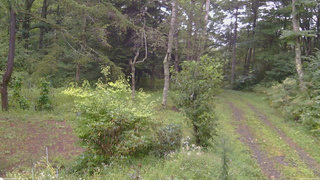 長野県菅平高原 ゆたか山荘 坂上 2026/09/08 16:15