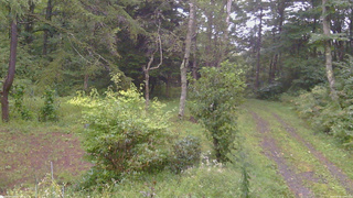 長野県菅平高原 ゆたか山荘 坂上 2026/09/08 17:00