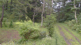 長野県菅平高原 ゆたか山荘 坂上 2026/09/08 17:15