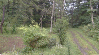 長野県菅平高原 ゆたか山荘 坂上 2026/09/08 17:30