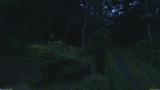 長野県菅平高原 ゆたか山荘 坂上 2026/09/08 18:00