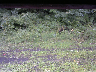 長野県菅平高原 ゆたか山荘 東側(坂下) 2026/09/09 07:30