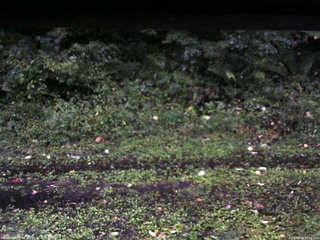 長野県菅平高原 ゆたか山荘 東側(坂下) 2026/09/09 17:30
