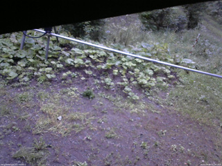長野県菅平高原 ゆたか山荘 駐車場 2026/09/09 05:30