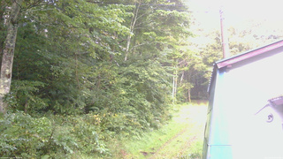 長野県菅平高原 ゆたか山荘 ゆたか山荘 2026/09/09 05:45