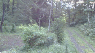 長野県菅平高原 ゆたか山荘 坂上 2026/09/09 05:30