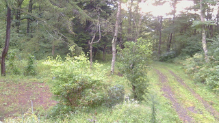 長野県菅平高原 ゆたか山荘 坂上 2026/09/09 06:00