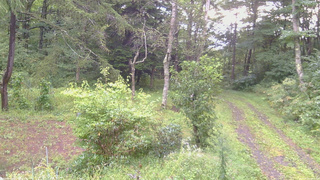 長野県菅平高原 ゆたか山荘 坂上 2026/09/09 06:15