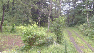 長野県菅平高原 ゆたか山荘 坂上 2026/09/09 06:45