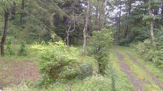 長野県菅平高原 ゆたか山荘 坂上 2026/09/09 07:15