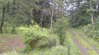 長野県菅平高原 ゆたか山荘 坂上 2026/09/09 07:30