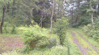 長野県菅平高原 ゆたか山荘 坂上 2026/09/09 07:45