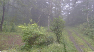 長野県菅平高原 ゆたか山荘 坂上 2026/09/09 08:45
