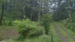 長野県菅平高原 ゆたか山荘 坂上 2026/09/09 09:00