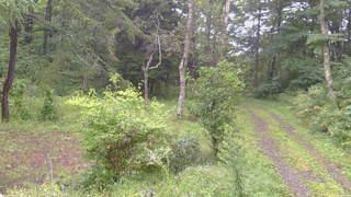 長野県菅平高原 ゆたか山荘 坂上 2026/09/09 09:30