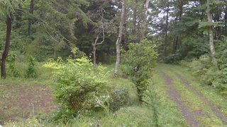長野県菅平高原 ゆたか山荘 坂上 2026/09/09 09:45