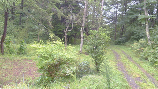 長野県菅平高原 ゆたか山荘 坂上 2026/09/09 10:00