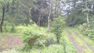 長野県菅平高原 ゆたか山荘 坂上 2026/09/09 10:15