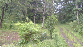 長野県菅平高原 ゆたか山荘 坂上 2026/09/09 10:30