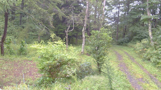 長野県菅平高原 ゆたか山荘 坂上 2026/09/09 10:45