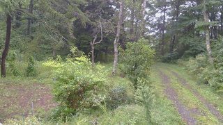 長野県菅平高原 ゆたか山荘 坂上 2026/09/09 11:00