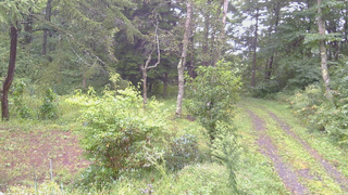 長野県菅平高原 ゆたか山荘 坂上 2026/09/09 11:15