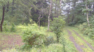 長野県菅平高原 ゆたか山荘 坂上 2026/09/09 11:30