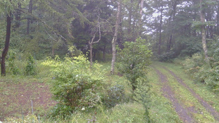 長野県菅平高原 ゆたか山荘 坂上 2026/09/09 11:45