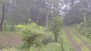 長野県菅平高原 ゆたか山荘 坂上 2026/09/09 12:00