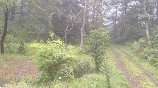 長野県菅平高原 ゆたか山荘 坂上 2026/09/09 12:15