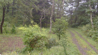 長野県菅平高原 ゆたか山荘 坂上 2026/09/09 12:45