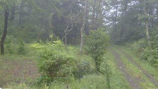 長野県菅平高原 ゆたか山荘 坂上 2026/09/09 13:00