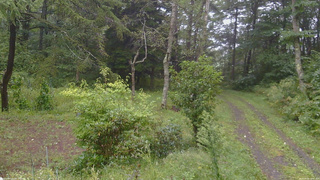 長野県菅平高原 ゆたか山荘 坂上 2026/09/09 13:15