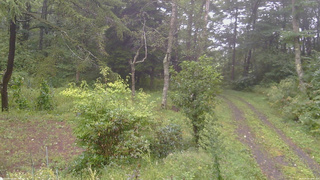 長野県菅平高原 ゆたか山荘 坂上 2026/09/09 13:30